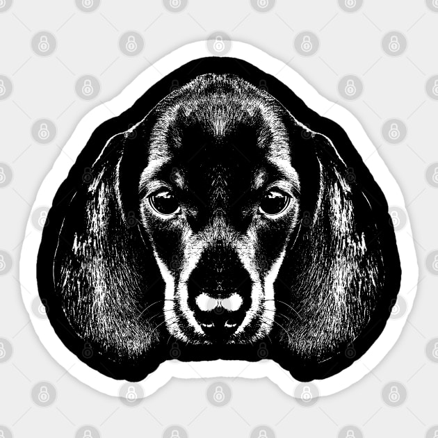 wiener dog / dachshund / head Sticker by R LANG GRAPHICS